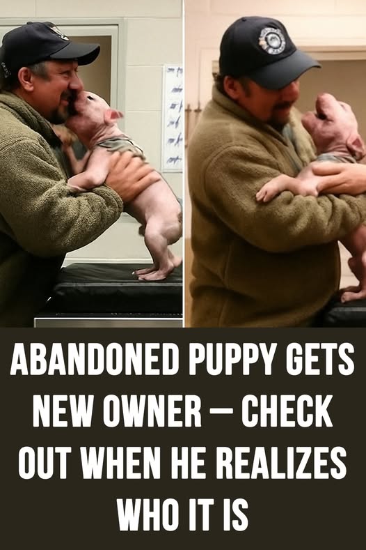 Abandoned puppy gets new owner – check out when he realizes who it is