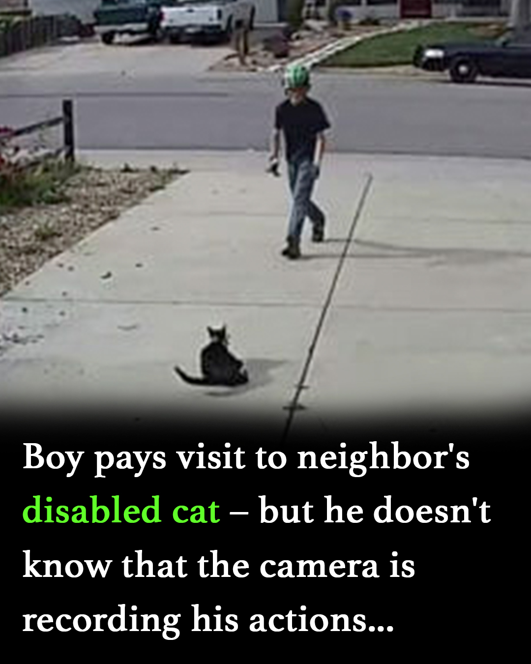 Boy approaches disabled cat – doesn’t realize the camera is recording his actions