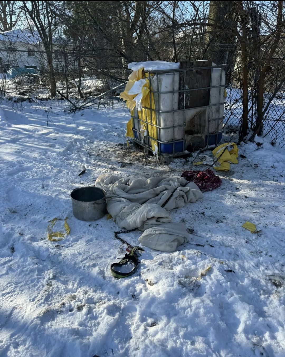 Dog Rescued and Rushed to Vet After Owner Left Him Outside in Freezing Conditions