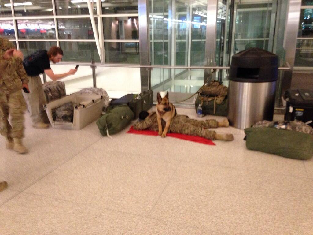 Military Dog Stands Guard To Protect Sleeping Soldier At Airport!