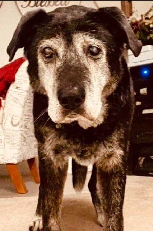 Send some love to this old man. Happy 19th Birthday, Henry