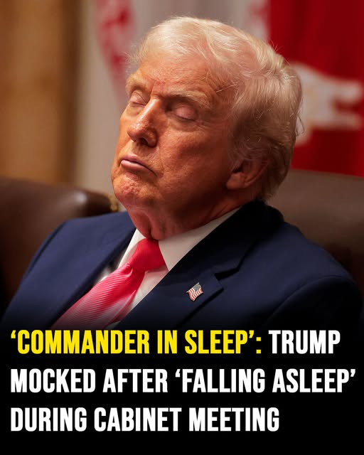 Commander in sleep’: Trump mocked after appearing to fall asleep in cabinet meeting