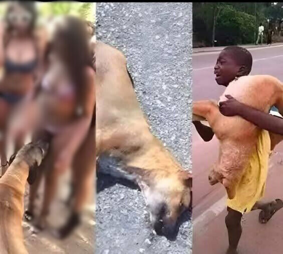 If your dog is sniffing your GENlT*L area, it means you have…