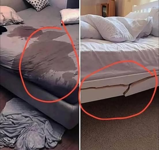 “Have You Ever Got a Bad Review from a B&B – and What Was It For?” Here’s What Hosts (and Guests) Can Learn