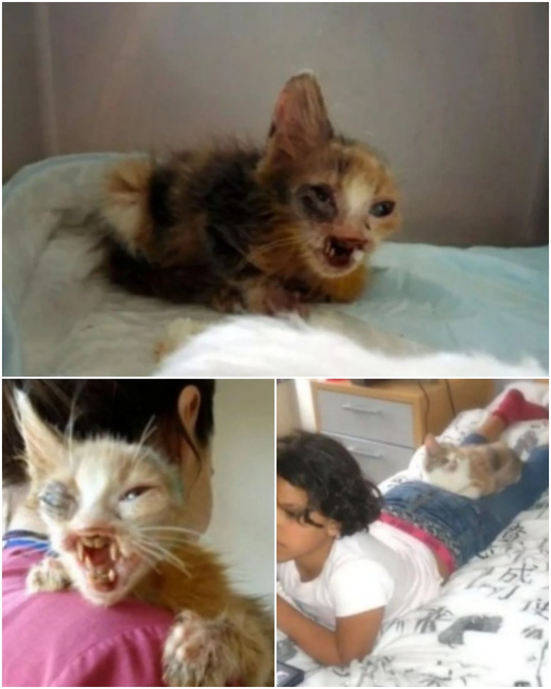 She Who Always Smiles: A Touching Story of Compassion That Changed a Life Forever1951