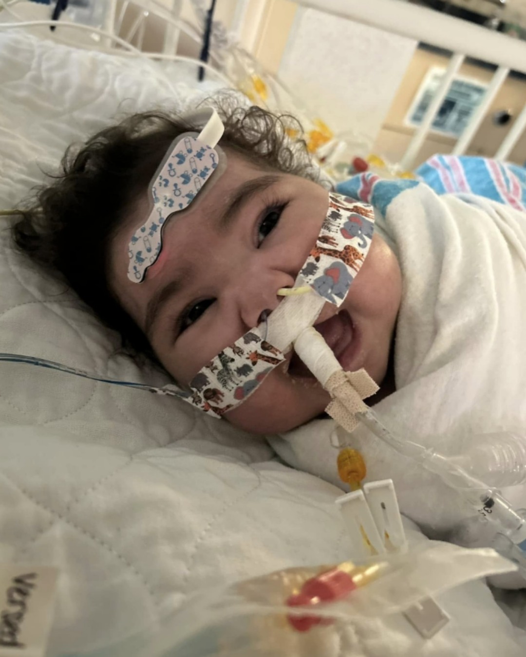 A Warrior’s Light: A Heartwarming Journey of Love and Remembrance1856