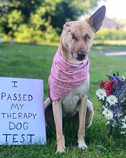 From Broken to Beautiful: Maggie’s Journey of Hope