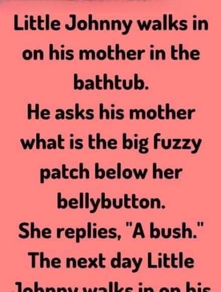 Little Johnny Walks in on his mother, read more below..One afternoon, while Johnny’s mom was enjoying a warm bath, little Johnny wandered into the bathroom without knocking. His eyes widened with curiosity as he noticed something strange on her body.  “Mom,” he asked with innocent wonder, “what’s that fuzzy patch under your tummy?”  Startled but keeping her composure, she smiled softly and said, “That’s called a bush, sweetheart.”  The next day, Johnny barged into the bathroom again—this time while his dad was taking a shower. Once more, something caught his attention, and his curiosity got the best of him.  “Dad,” he asked, tilting his head, “what’s that big long thing hanging between your legs?”  His father laughed and replied matter-of-factly, “That’s called a snake, son.”  A few days later, Johnny walked in on his mom taking another bath. His curiosity hadn’t faded one bit. This time, he noticed something else and asked, “Mom, what are those two droopy things above your tummy?”  With a gentle laugh, she replied, “Those are my headlights, darling.”  Weeks passed, and one night, Johnny accidentally walked into his parents’ bedroom. What he saw completely puzzled him—they were in the middle of an intimate moment.  Not understanding what was happening, he shouted in alarm, “Mom, turn on your headlights! The snake’s crawling into the bush!”  His parents froze, torn between bursting into laughter and absolute panic.  It became one of those unforgettable childhood moments—awkward at the time, but hilarious in hindsight. They chose to wait until Johnny was old enough to understand before explaining what he had really seen.  As he grew older, Johnny—always curious and quick-minded—began to learn that not every question needs an answer right away, and that sometimes, it’s best to wait until the right moment to understand the world around you.
