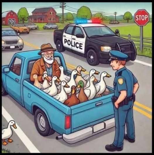 A Policeman Pulls Over an Old Man Driving a Pickup — What Happens Next Surprised Everyone