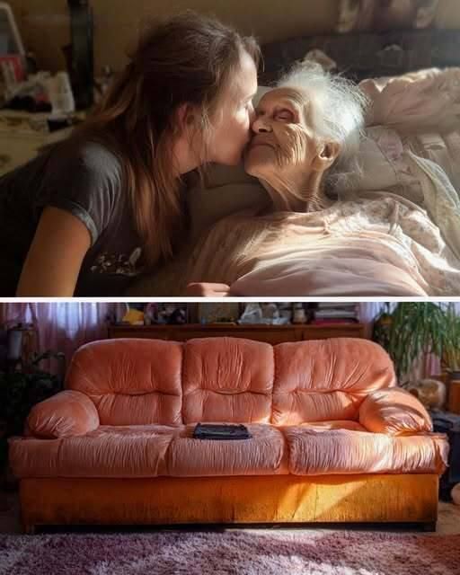 I Inherited My Grandmother’s Couch — Then I Found a Zipper in the Cushion.